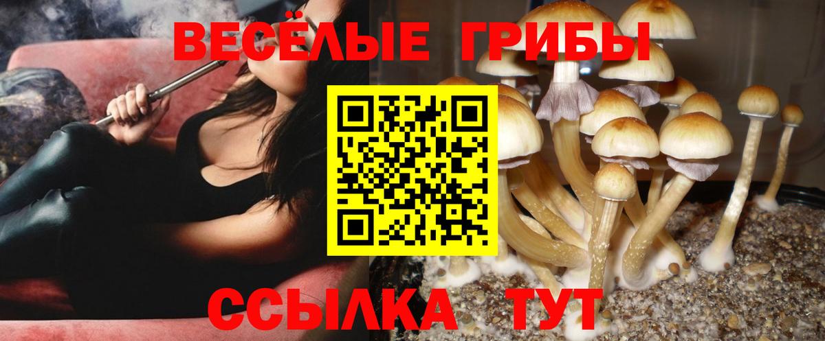 Псилоцибиновые грибы прущие грибы Канск
