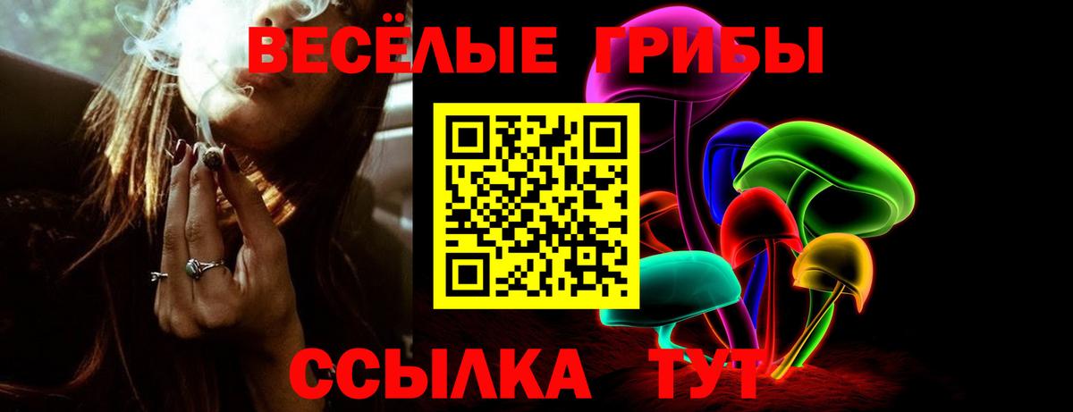 Галлюциногенные грибы Magic Shrooms  Галлюциногенные грибы GOLDEN TEACHER  где купить наркотик  Канск  Вход с VPN 
